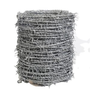 Barbed Wire